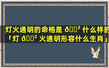 灯火通明的命格是 🐳 什么样的「灯 🌲 火通明形容什么生肖」